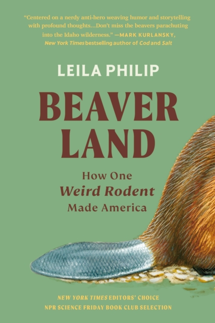 Beaverland : How One Weird Rodent Made America, Paperback / softback Book