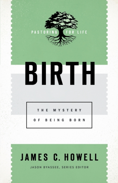 Birth : The Mystery of Being Born, Paperback / softback Book
