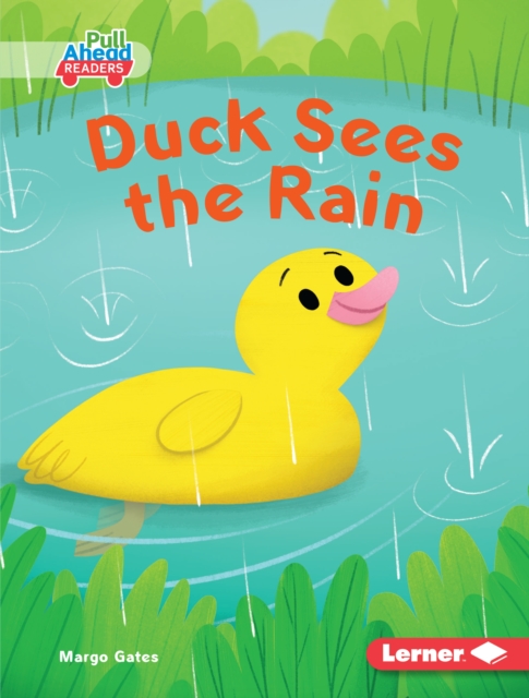 Duck Sees the Rain, EPUB eBook