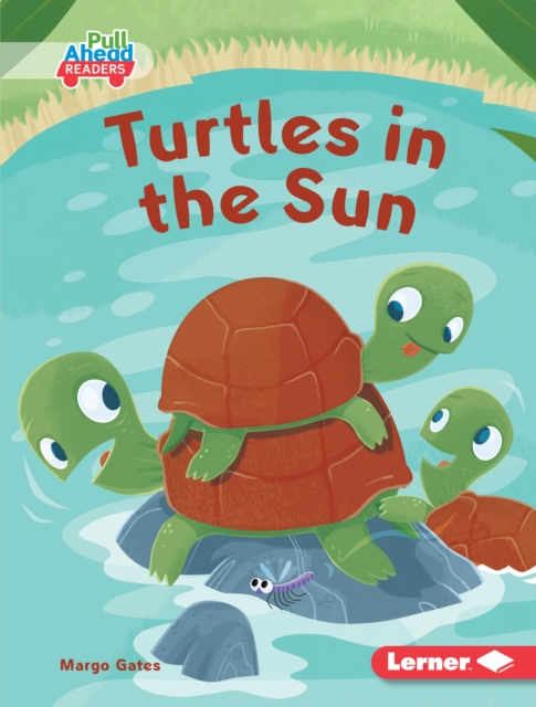 Turtles in the Sun, EPUB eBook