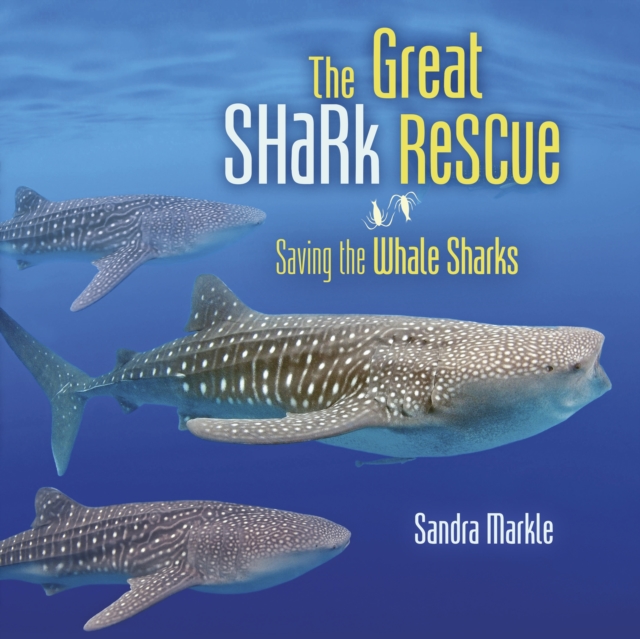 The Great Shark Rescue : Saving the Whale Sharks, EPUB eBook