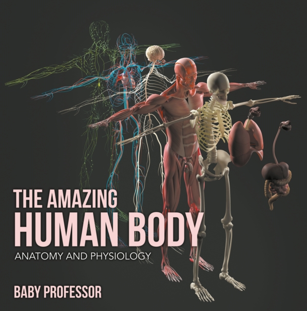 The Amazing Human Body | Anatomy and Physiology, EPUB eBook
