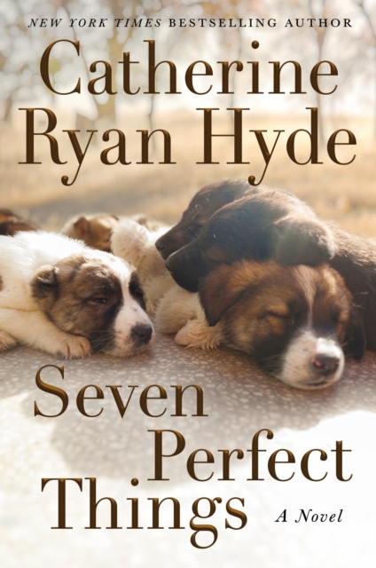 Seven Perfect Things : A Novel, Paperback / softback Book