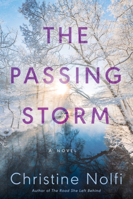 The Passing Storm : A Novel, Paperback / softback Book
