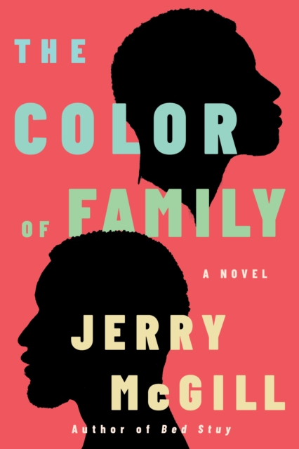 The Color of Family : A Novel, Hardback Book