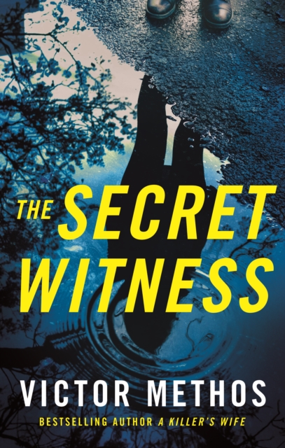 The Secret Witness, Paperback / softback Book