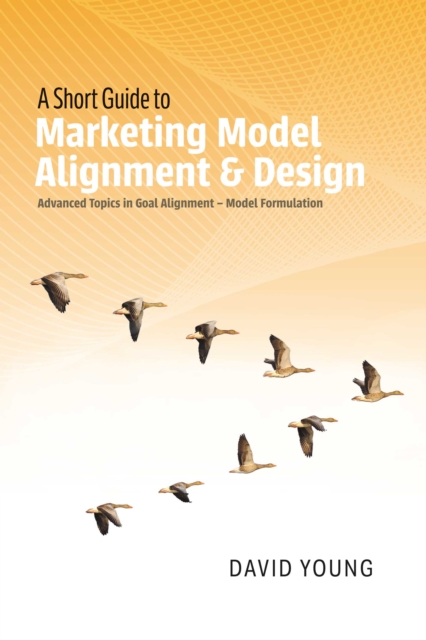 A Short Guide to Marketing Model Alignment & Design : Advanced Topics in Goal Alignment - Model Formulation, EPUB eBook