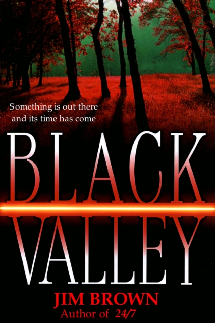 Black Valley, EPUB eBook