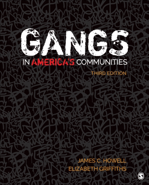 Gangs in America's Communities, Paperback / softback Book