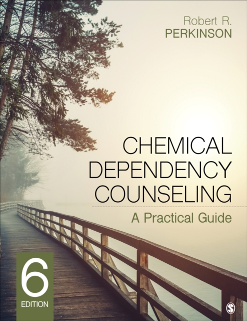 Chemical Dependency Counseling : A Practical Guide, Paperback / softback Book