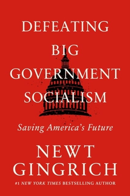 Defeating Big Government Socialism : Saving America's Future, Paperback / softback Book