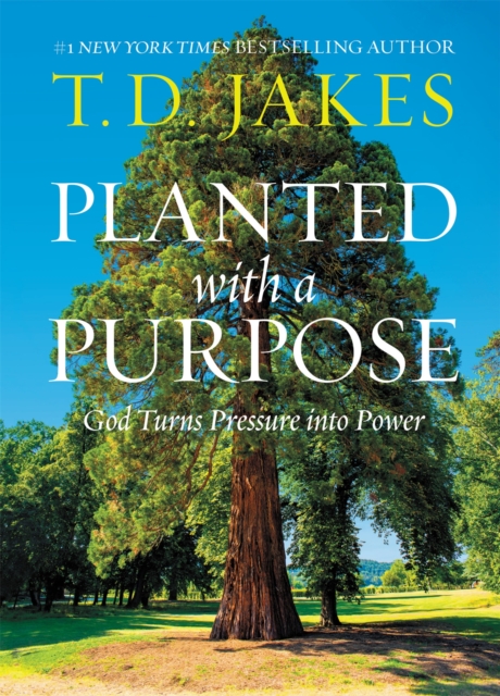 Planted with a Purpose : God Turns Pressure into Power, Hardback Book