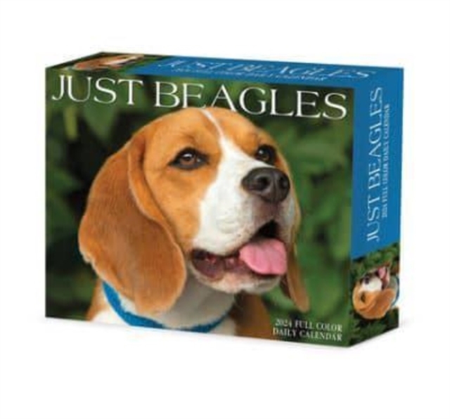Beagles 2024 6.2 X 5.4 Box Calendar, Calendar Book