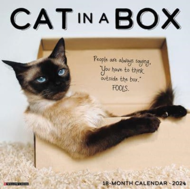 Cat in a Box 2024 12 X 12 Wall Calendar, Calendar Book