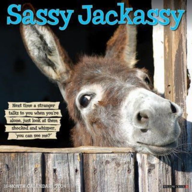 Sassy Jackassy 2024 12 X 12 Wall Calendar, Calendar Book
