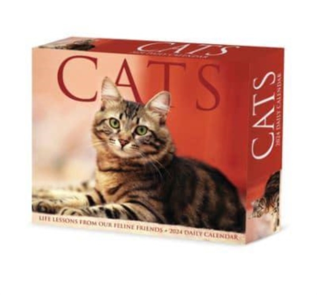 Cats 2024 6.2 X 5.4 Box Calendar, Calendar Book