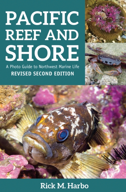 Pacific Reef and Shore, Paperback / softback Book