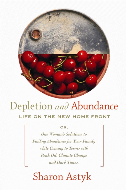 Depletion and Abundance : Life on the New Home Front, EPUB eBook