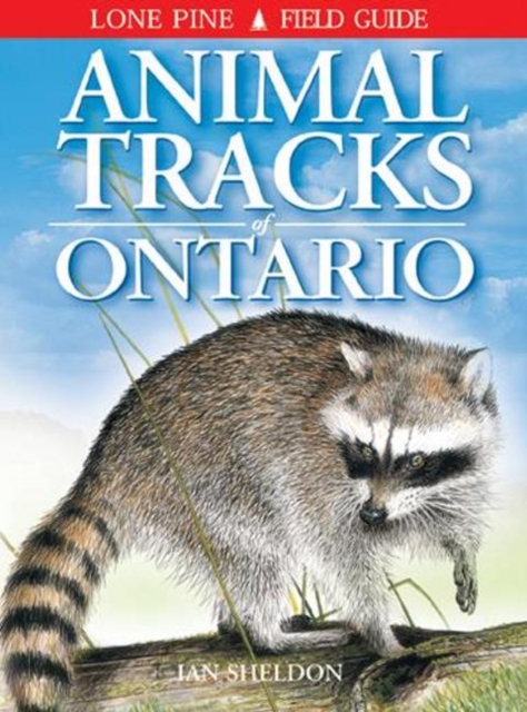 Animal Tracks of Ontario, Paperback Book