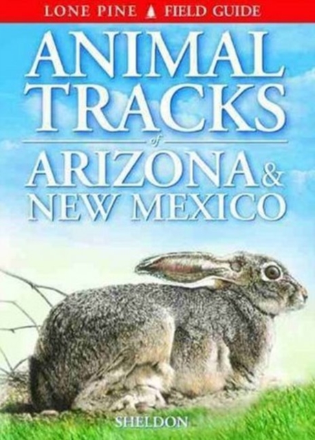 Animal Tracks of Arizona & New Mexico, Paperback / softback Book