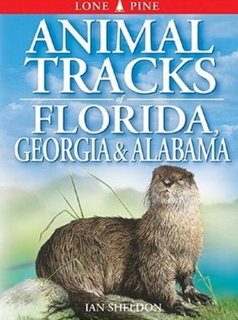 Animal Tracks of Florida, Georgia and Alabama, Paperback / softback Book
