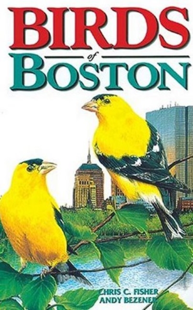 Birds of Boston, Paperback / softback Book