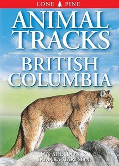 Animal Tracks of British Columbia, Paperback Book