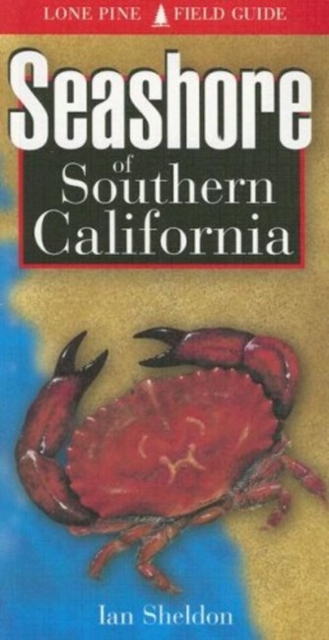 Seashore of Southern California, Paperback / softback Book