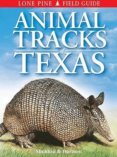 Animal Tracks of Texas, Paperback / softback Book