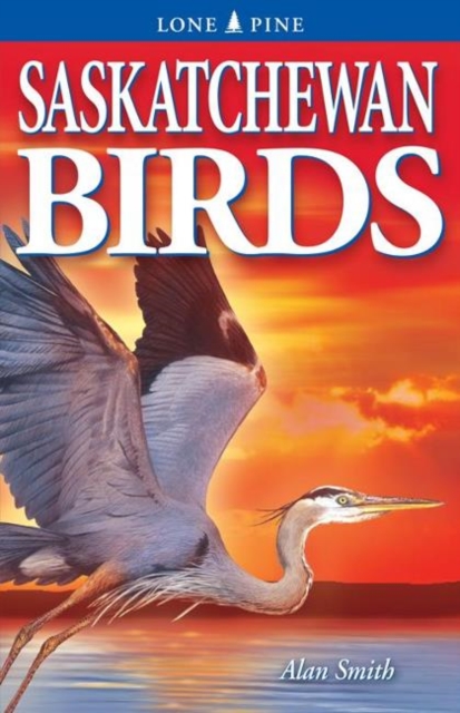 Saskatchewan Birds, Paperback Book