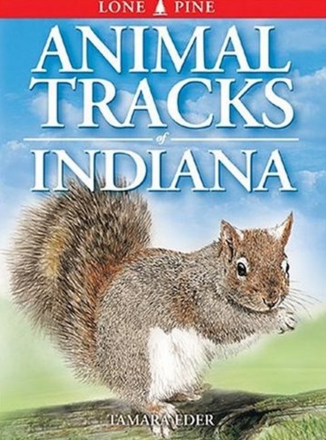 Animal Tracks of Indiana, Paperback / softback Book