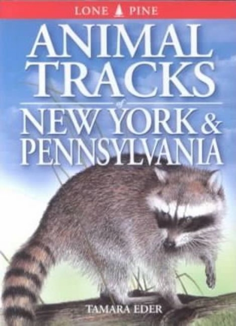 Animal Tracks of New York and Pennsylvania, Paperback / softback Book