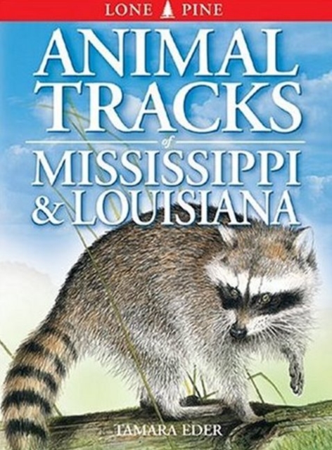 Animal Tracks of Mississippi and Louisiana, Paperback / softback Book