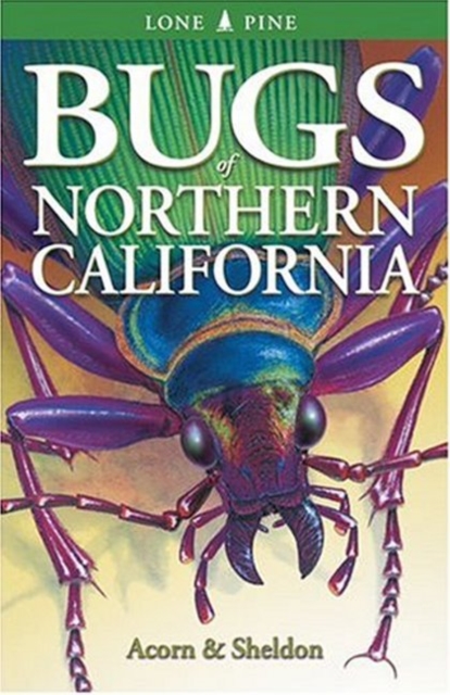 Bugs of Northern California, Paperback / softback Book