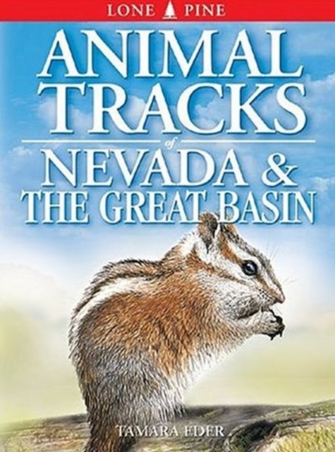 Animal Tracks of Nevada and the Great Basin, Paperback / softback Book
