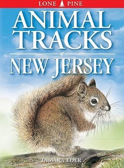 Animal Tracks of New Jersey, Paperback / softback Book