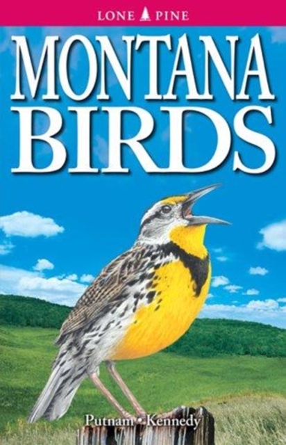 Montana Birds, Paperback / softback Book