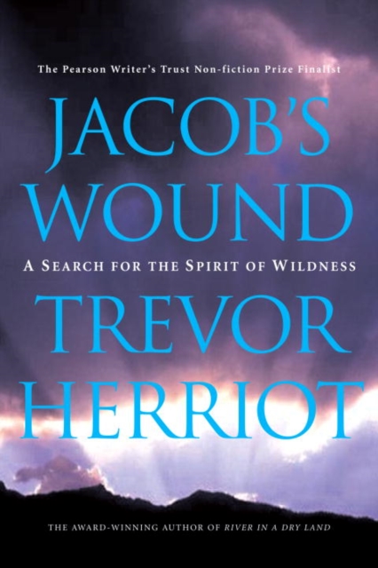 Jacob's Wound, EPUB eBook