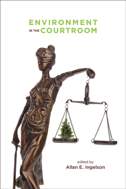 Environment in the Courtroom, Paperback / softback Book