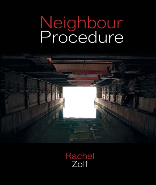 Neighbour Procedure, Paperback / softback Book