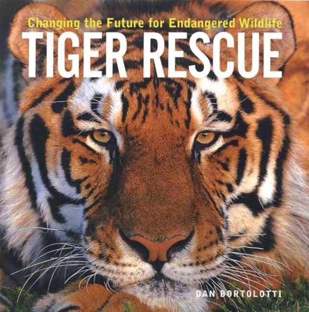 Tiger Rescue, Paperback / softback Book