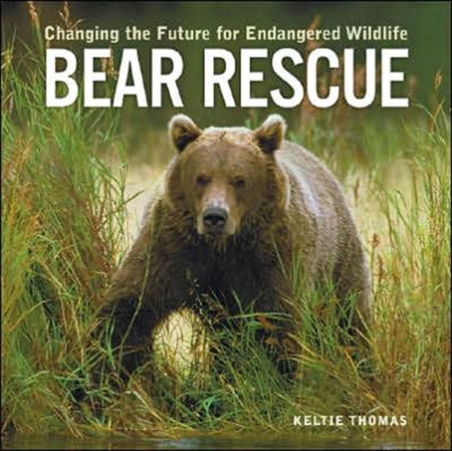 Bear Rescue, Paperback / softback Book