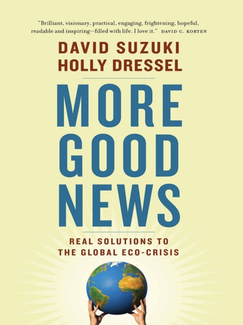 More Good News : Real Solutions to the Global Eco-Crisis, Paperback / softback Book