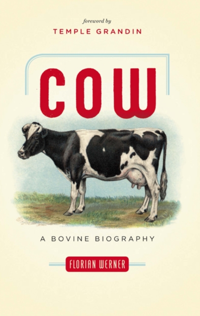 Cow : A Bovine Biography, EPUB eBook