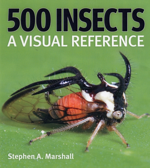 500 Insects : A Visual Reference, Hardback Book