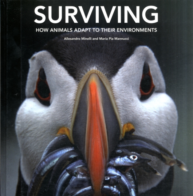 Surviving: How Animals Adapt to Their Environments, Hardback Book