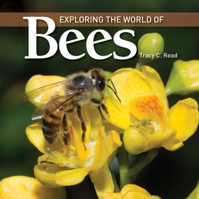 Exploring the World of Bees, Paperback / softback Book