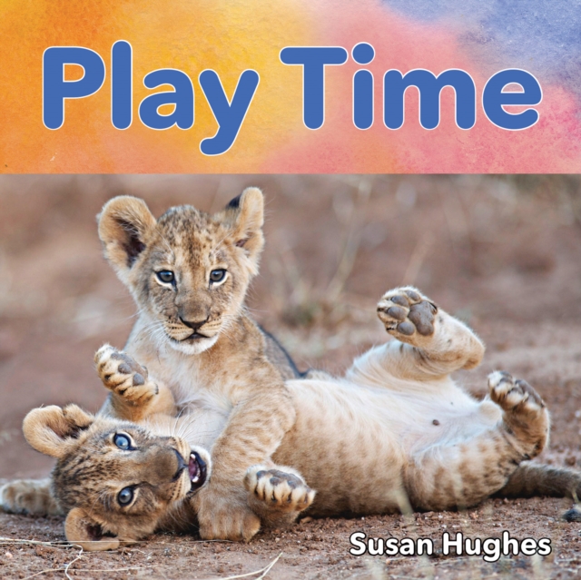 Play Time, Board book Book