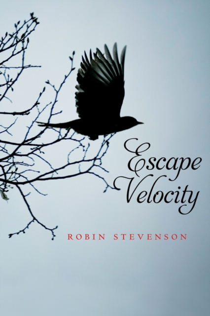 Escape Velocity, PDF eBook