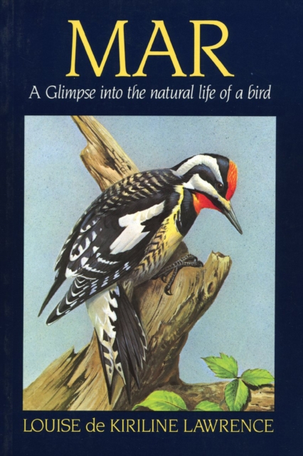 Mar : A Glimpse Into the Natural Life of a Bird, PDF eBook